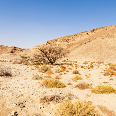 İsrail 'deki Negev Çölü' nün Rocky tepeleri. Güney İsrail 'deki kaya oluşumlarının nefes kesici manzarası. Tozlu dağlar wadiler ve derin kraterler tarafından kesildi..