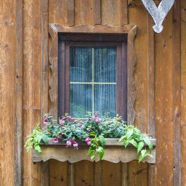 Avusturya 'da küçük bir kasabada tipik bir ev penceresi. Yağmurlu bir günde Avusturya 'nın Hallstatt şehrinde bir ev. 