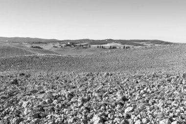 Güneş doğarken hasat sonra İspanya alanlarında. Nefes kesici manzara ve doğa İber Yarımadası'nın. Siyah ve beyaz fotoğraf
