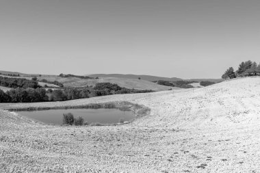 Güneş doğarken hasat sonra İspanya anız alanlar arasında sulama için su birikintisi. Nefes kesici manzara ve doğa İber Yarımadası'nın. Siyah ve beyaz fotoğraf