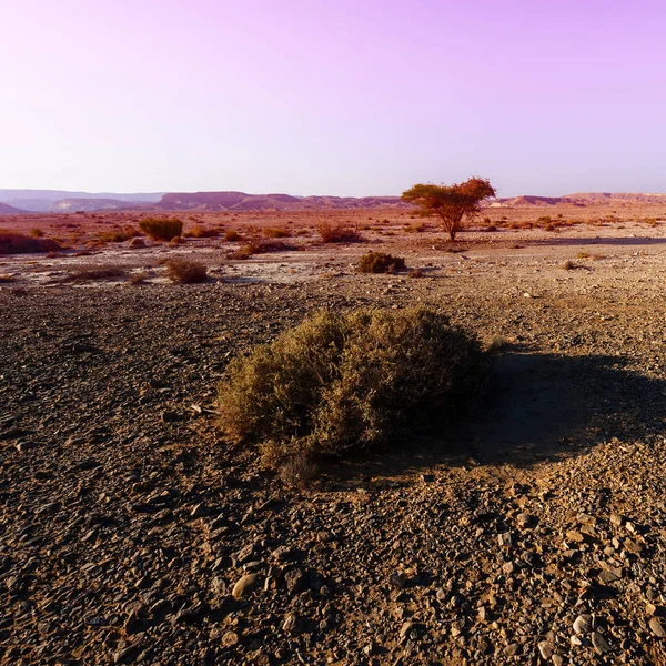 Rocky Hills Negev Desert Israel Sunset Breathtaking Landscape Rock Formations — Stock Photo, Image