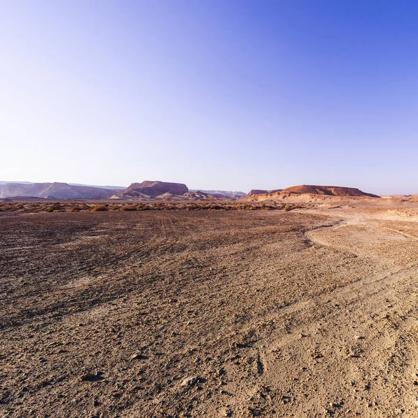 Colline Rocciose Del Deserto Del Negev Israele Paesaggio Mozzafiato Delle — Foto Stock