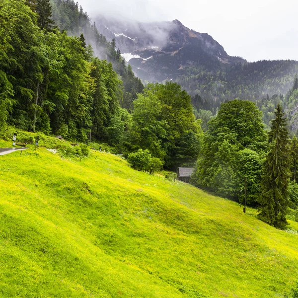 Mattina Nebbia Sul Paesaggio Austriaco Con Boschi Montagne Pascoli Prati — Foto Stock