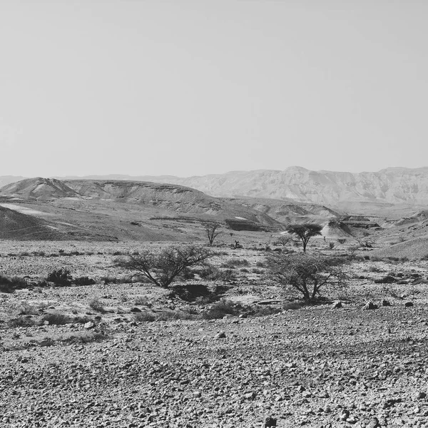 イスラエルのネゲヴ砂漠の岩の多い丘の孤独と空虚さ 中東の息をのむような風景と自然 白黒写真 — ストック写真