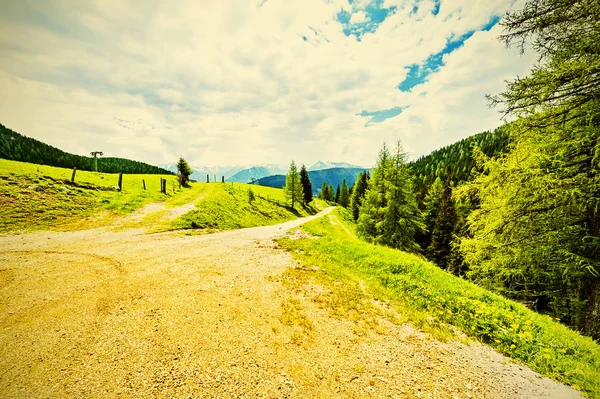 Sentiero Sterrato Sinuoso Nel Paesaggio Austriaco Con Boschi Campi Pascoli — Foto Stock
