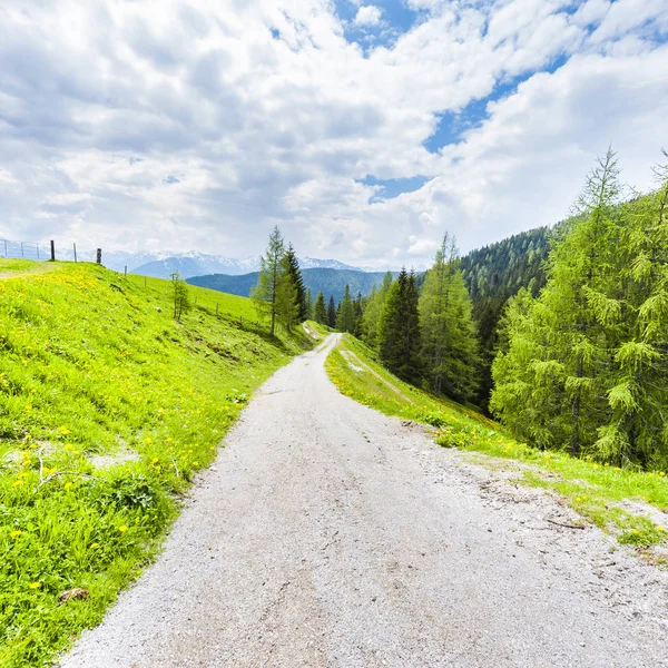 Caminho Terra Sinuosa Paisagem Austríaca Com Florestas Campos Pastagens Prados — Fotografia de Stock