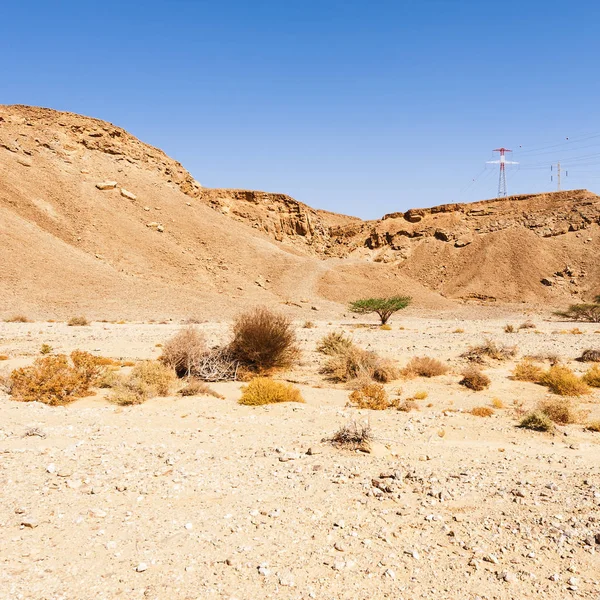 中東の風景の中にパイロン上の電力線 イスラエルのネゲヴ砂漠の岩の丘 岩の形成の息をのむような風景 — ストック写真