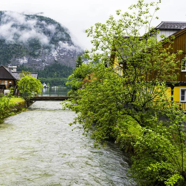 오스트리아할 스타트 마을의 제방에는 안개가 자욱하게 오스트리아 지역의 — 스톡 사진