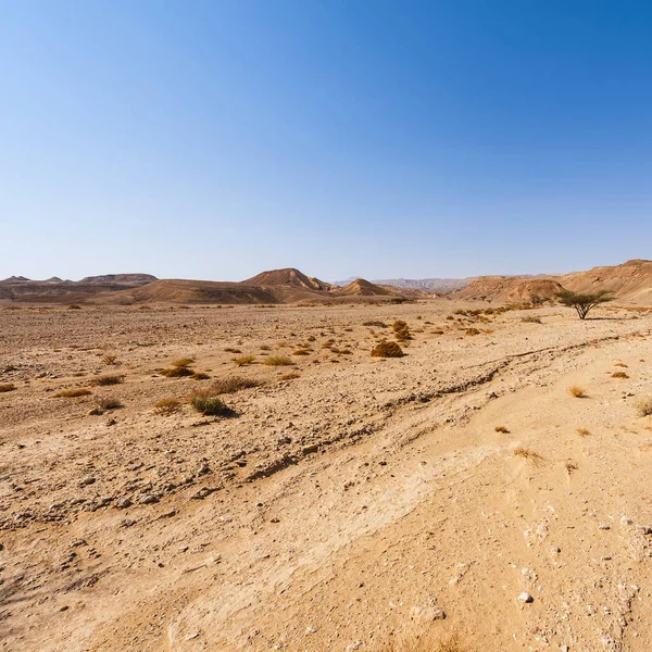 Negev Sivatag Sziklás Hegyei Izraelben Lélegzetelállító Táj Dél Izraeli Kőzetképződményekről — Stock Fotó