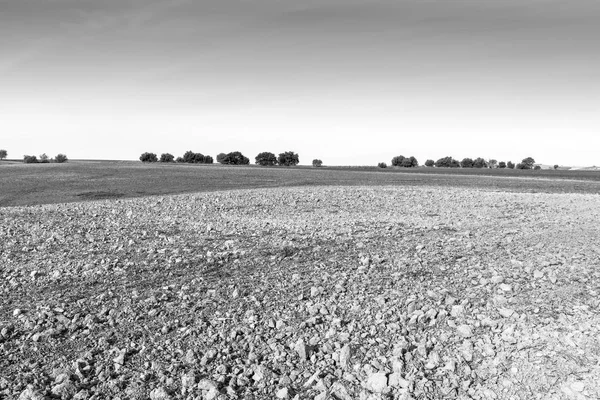 在西班牙的田野在日出后收割 令人叹为观止的景色和伊比利亚半岛的性质 黑白照片 — 图库照片