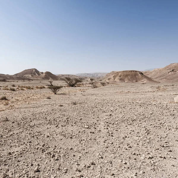 Rotsachtige Heuvels Van Negev Woestijn Israël Adembenemend Landschap Van Rotsformaties — Stockfoto