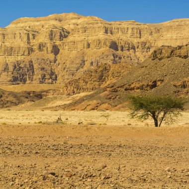 İsrail 'deki Negev Çölü' nün Rocky tepeleri. Güney İsrail 'deki kaya oluşumlarının nefes kesici manzarası. Tozlu dağlar wadiler ve derin kraterler tarafından kesildi..