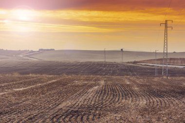Zeytin koru ve güneş doğarken hasat sonra alanlarındaki İspanya. Elektrik hatları dikmesi İber Yarımadası'nın peyzaj üzerinde