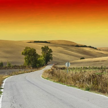 İspanya 'daki tarlalar arasında asfalt yol gün doğumunda hasat edildikten sonra. Nefes kesici manzara ve İber Yarımadası 'nın doğası