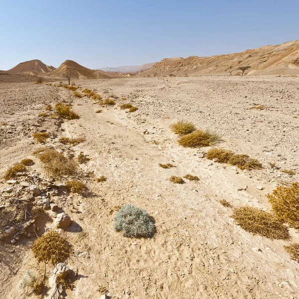 Melancholie Leegte Van Rotsachtige Heuvels Van Negev Woestijn Israël Adembenemend — Stockfoto