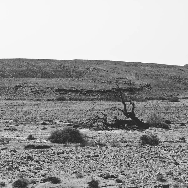 イスラエルのネゲヴ砂漠の岩の多い丘の孤独と空虚さ 中東の息をのむような風景と自然 白黒写真 — ストック写真