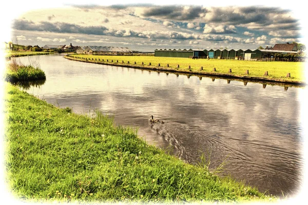 Nethrlands でチューリップの花の成長のための温室 オランダのチューリップ畑近くの排水路で泳ぐアヒルの家族 トーンのビンテージ スタイルの画像 — ストック写真
