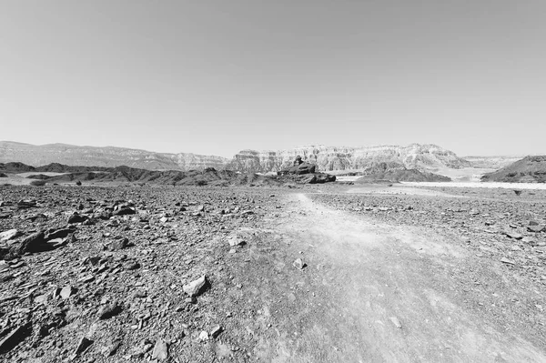 Srail Deki Negev Çölü Nün Kayalık Tepelerinde Yalnızlık Boşluk Ortadoğu — Stok fotoğraf