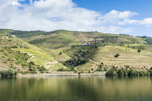 Αμπελώνες Της Περιοχής Του Ποταμού Douro Στην Πορτογαλία Αξιοθέατα Της — Φωτογραφία Αρχείου
