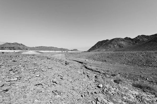 Solitudine Vuoto Delle Colline Rocciose Del Deserto Del Negev Israele — Foto Stock