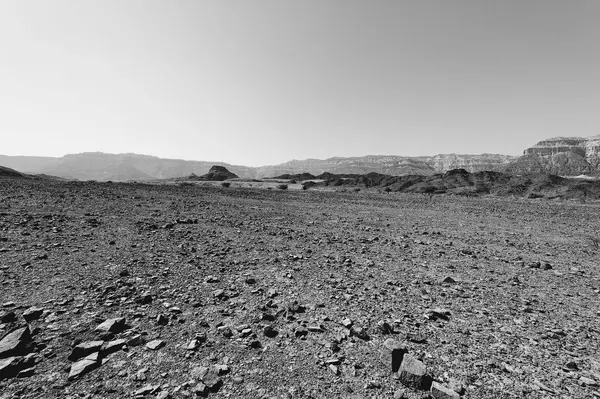 Loneliness Emptiness Rocky Hills Negev Desert Israel Breathtaking Landscape Nature — Stock Photo, Image