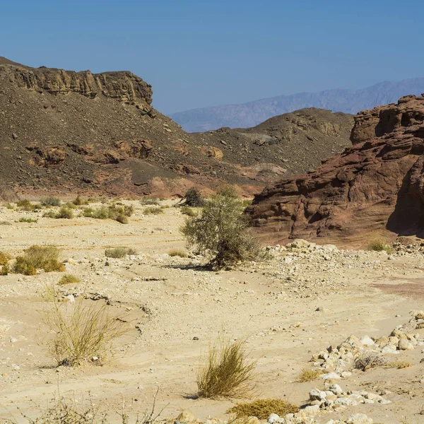 Rocky Hills Negev Desert Israel Breathtaking Landscape Rock Formations Southern — Stock Photo, Image