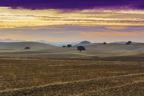 Autumn Fields Spain Harvesting Sunrise Breathtaking Landscape Nature Iberian Peninsula — Stock Photo, Image