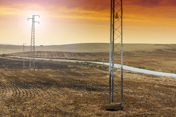 Olive Grove Fields Spain Harvesting Sunrise Electrical Power Lines Pylons — Stock Photo, Image