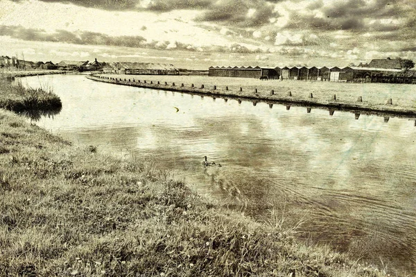 Gewächshäuser Zum Anbau Von Tulpenblumen Den Niederlanden Eine Entenfamilie Schwimmt — Stockfoto