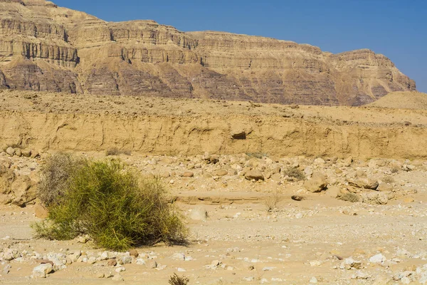 Rocky hills of the Negev Desert in Israel. Breathtaking landscape of the rock formations in the Southern Israel. Dusty mountains interrupted by wadis  and deep craters.