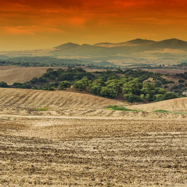 Campos Espanha Após Colheita Nascer Sol Paisagem Tirar Fôlego Natureza — Fotografia de Stock