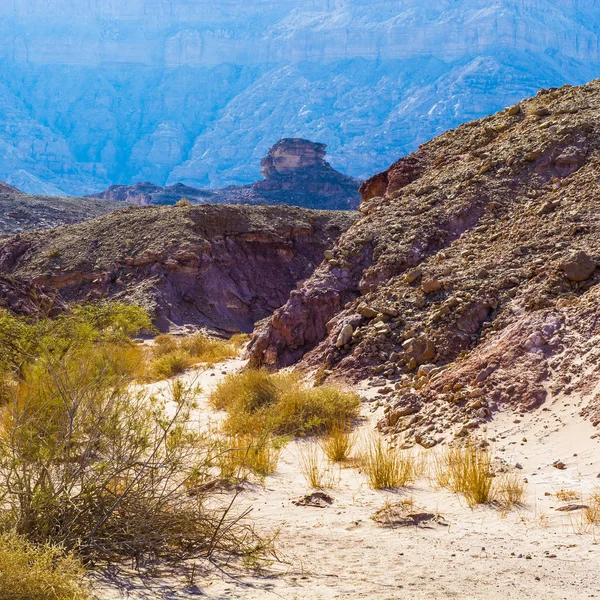 Colinas Rocosas Del Desierto Del Néguev Israel Impresionante Paisaje Las — Foto de Stock