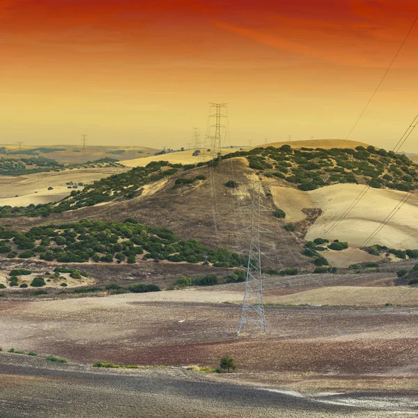 橄榄树丛和西班牙的田野在日出后收割 伊比利亚半岛景观塔上的电力线路 — 图库照片