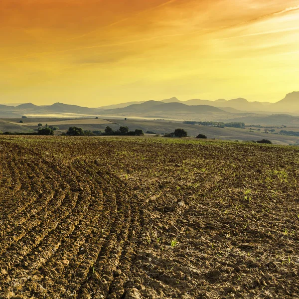 Fields Spanyol Setelah Panen Saat Matahari Terbit Bentang Alam Yang — Stok Foto