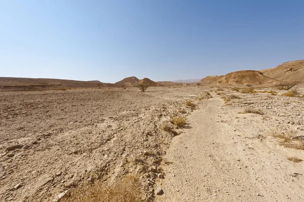 Melancholie Leegte Van Rotsachtige Heuvels Van Negev Woestijn Israël Adembenemend — Stockfoto