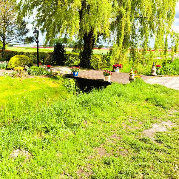 Uma Pequena Ponte Madeira Sobre Canal Drenagem Decorado Com Tulipas — Fotografia de Stock