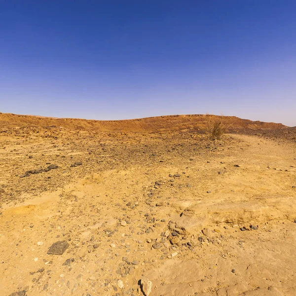 Srail Deki Negev Çölü Nün Rocky Tepeleri Güney Srail Deki — Stok fotoğraf