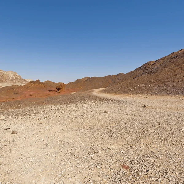 Soledad Vacío Las Colinas Rocosas Del Desierto Del Neguev Israel —  Fotos de Stock