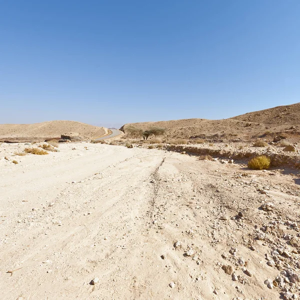 Soledad Vacío Las Colinas Rocosas Del Desierto Del Neguev Israel — Foto de Stock