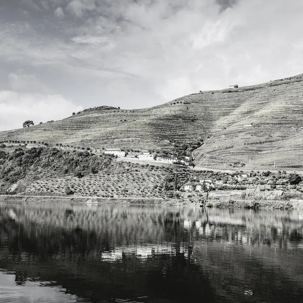 Travel River Douro Region Portugal Vineyards Olive Groves Viticulture Portuguese — Stock Photo, Image