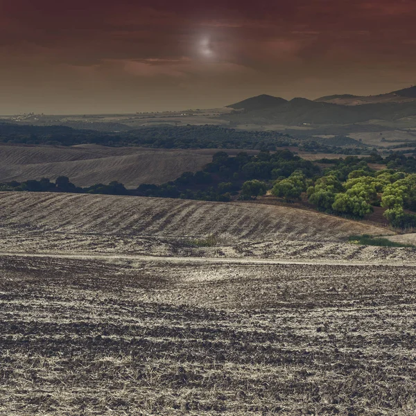 Velden Spanje Oogst Het Licht Van Maan Adembenemende Landschap Natuur — Stockfoto