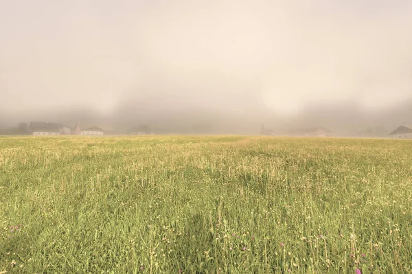 Morning mist over the Austrian landscape with forests, fields, pastures and meadows. Vintage style