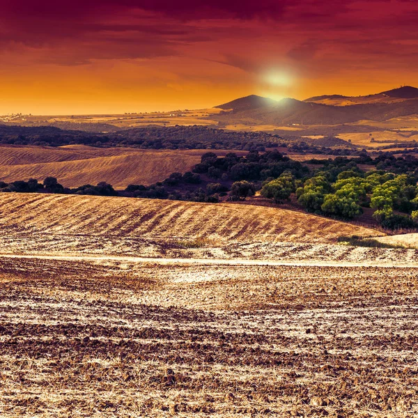 Campi Spagna Dopo Raccolta All Alba Paesaggio Mozzafiato Natura Della — Foto Stock