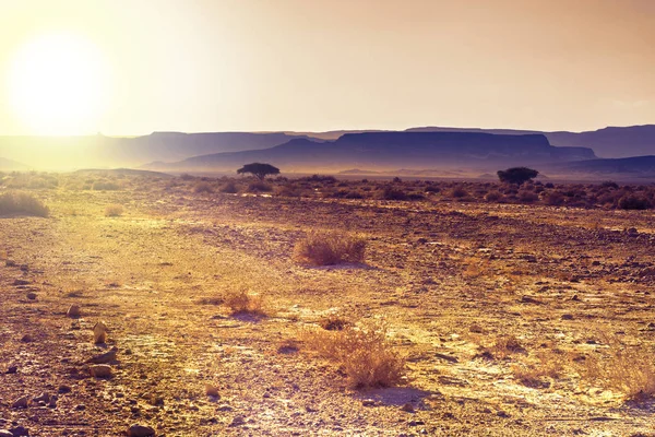 Colinas Rochosas Deserto Negev Israel Pôr Sol Paisagem Tirar Fôlego — Fotografia de Stock