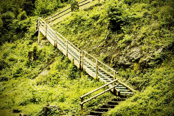 Névoa Manhã Sobre Paisagem Austríaca Com Escadaria Madeira Chuva Áustria — Fotografia de Stock