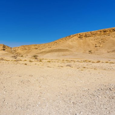 İsrail 'deki Negev Çölü' nün kayalık tepelerinin melankolik ve boşluğu. Ortadoğu 'nun nefes kesici manzarası ve doğası.
