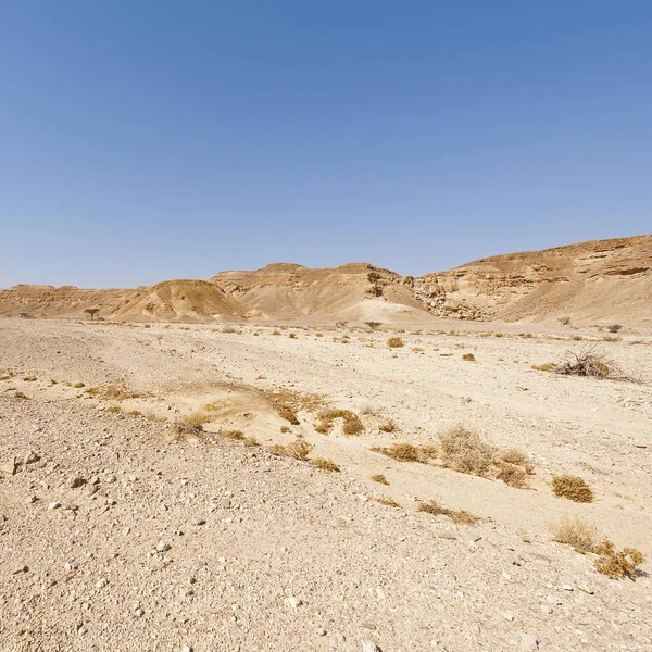 Malinconia Vuoto Delle Colline Rocciose Del Deserto Del Negev Israele — Foto Stock