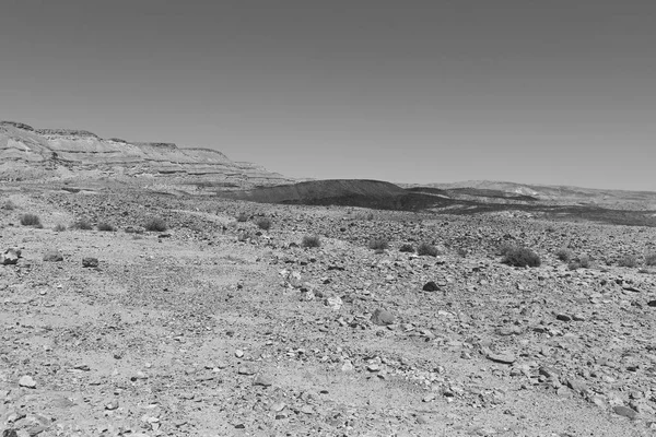 Colinas Rocosas Del Desierto Del Néguev Israel Impresionante Paisaje Las — Foto de Stock