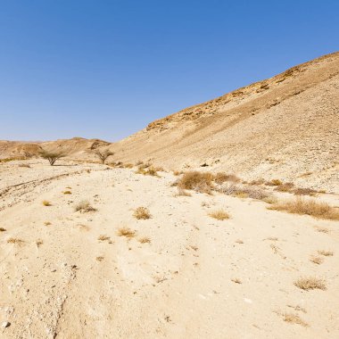 İsrail 'deki Negev Çölü' nün Rocky tepelerinin sonsuz ıssızlığı. Ortadoğu 'nun nefes kesici manzarası ve doğası.