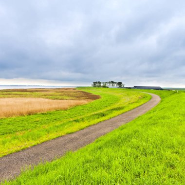 Tarım arazi üzerinden Hollanda'da bkz: geri. Asfalt yol boyunca koruyucu baraj ve Hollanda'da kanal